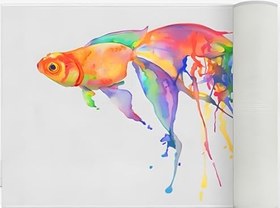 Resim Gold Fish Banyo Paspas Ve Tek Kanat Duş Perdesi 1x180x200 Set 