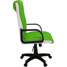 Resim Türksit Efe Makam Koltuk F.Yeşil Beyaz 