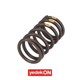 Resim AGCO Sıkıştırma Yay - Fendt | F100003369305 