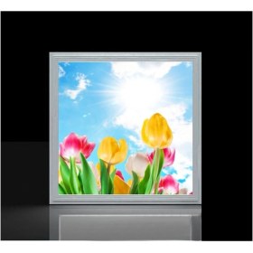 Resim Gökyüzü Panel Banyo Avize- 60WATT-60 cm x 60 cm LED Yatak Odası Avize-Renkli Laleler Tasarım Aydınlatma-Tavana Model 