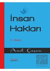 Resim İnsan Hakları - Anıl Çeçen - Astana Yayınları 