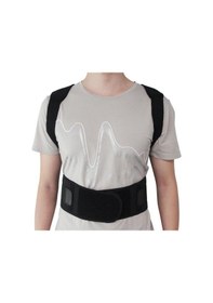 Resim Motosiklet Sırtlık Avrupa Model 8 Boğumlu 1. Kalite Motor Sırtlık 