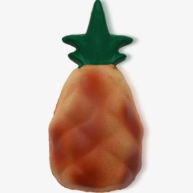 Resim Hubble Pinehubble Diş Kaşıyıcı Kauçuk Oyuncak 