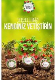 Resim Yta Grup Konserve Bahçem Evde Konservede Kekik Dağ Kekiği Yetiştirme Kiti 