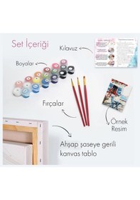 Resim Sayılarla Boyama Seti 40 X 50 Cm Tuval Şasesine Gerili Köşküm 