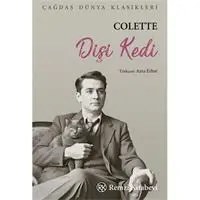 Resim Dişi Kedi 