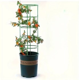 Resim Gaojunshop01 5 Katlı 30 Parça Yeşil Plastik Bitki Destek Filesi Dayanıklı Bahçe Çiti 