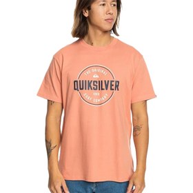 Resim Quiksilver Erkek Tişört Circle Up Kahverengi Günlük Giyim 