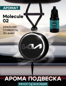 Resim Ambre Fragrance Molecule 02 Parfümlü Araç Yayıcı 233316077 