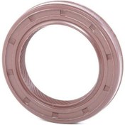 Resim Payen Eksantrik Keçesi Ön 7701474149 Clıo Kango Megan Logan Lagun 