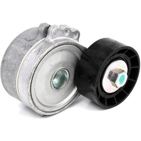 Resim Febı 19482-alternator Rulmanı Komple 1.9 D/2.0 Hdı Klımasız Cıtroen Berlıngo 03 5751.74 