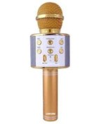 Resim pazariz C-792 Bt/tf/usb/fm Rose Gold Karaoke Mikrofon 