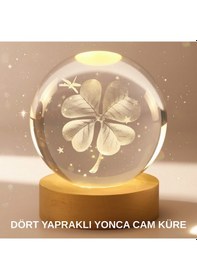 Resim Ilkeshop Bitki Temalı Led Işıklı Cam Küre Ahşap Standlı Modern Gece Lambası 