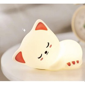 Resim Uyuyan Kedi - Led Silika Jel Gece Lambası Beyaz 