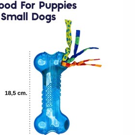 Resim Petstages Mini Orka Bone Kemik Şeklinde Köpek Oyuncağı - Cutie Chewies Hedgehog Dog Chew 