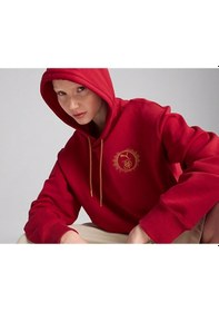Resim Puma Puma X Harry Potter Hoodie Unisex Günlük Sweatshirts 63009313 Kırmızı Kırmızı 