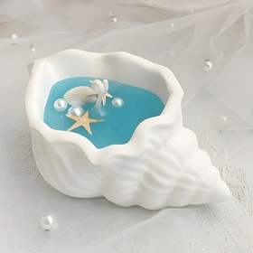 Resim Deniz kabuğu silikon kalıbı çiçek saksısı, mum kavanozu, takı tepsisi ve ev dekorasyonu için - Kendin yap epoksi reçine, alçı ve beton dökme kalıbı 