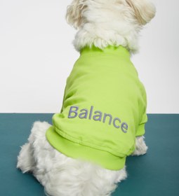 Resim Yeşil İnce Köpek Sweatshirt -"Balance" Sloganlı - 2 / Yeşil 