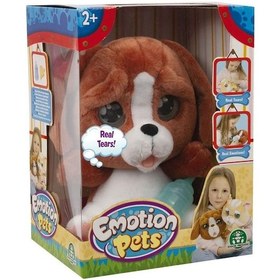 Resim Emotion Pets Evcil Hayvanlar Kızıl Köpecik 