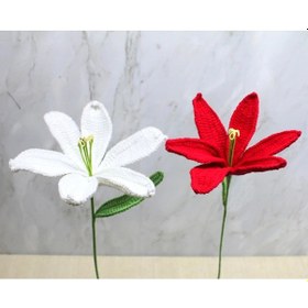 Resim El Örgüsü Zambak Çiçeği 