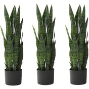 Resim 3-6 Paket Suni Sansevieria Bitki, Plastik Graptosedum Yılan Çalısı, İç ve Dış Mekan Dekoru, Zemin Duran Sahte Yeşillik, Ev, Ofis, Yıl Dönümü, Noel, Paskalya, St. Patrick Günü, Sevgililer Günü, Muharrem / İslam Yeni Yılı - Kap İçermiyor 