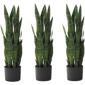 Resim 3-6 Paket Suni Sansevieria Bitki, Plastik Graptosedum Yılan Çalısı, İç ve Dış Mekan Dekoru, Zemin Duran Sahte Yeşillik, Ev, Ofis, Yıl Dönümü, Noel, Paskalya, St. Patrick Günü, Sevgililer Günü, Muharrem / İslam Yeni Yılı - Kap İçermiyor 