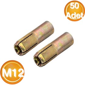 Resim D.B.E DBE Çakma Çelik Dübel M12 (50 Adet) 