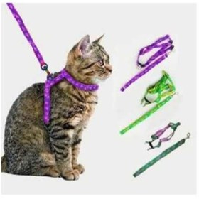 Resim baytoptan Kedi Tasması 