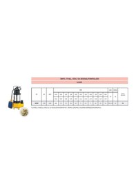 Resim V250f - Pis Su Drenaj Pompası - 0.5 Hp - 220 V 