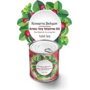 Resim Robinanka Konserve Bahçem Evde Konservede Fındık Turp Yetiştirme Kiti 