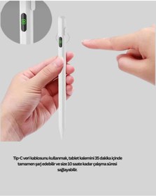 Resim fantastik store ÜNİVERSAL TABLET KALEMİ - Lisinya 