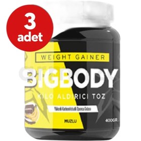 Resim Big Body Muzlu Kilo Aldırıcı Toz 400 gr 3'lü 