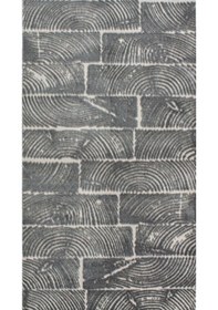 Resim By Özer Halı Antrasit Renk Gri Desenli Modern Stil Artemis Halı Samoa 02979e Salon Halısı Çok Renkli 