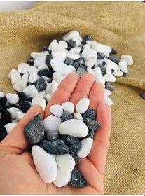 Resim Asenya Renkli Çakıl Taşı 8 Kg 1-2 Cm Siyah Beyaz Saksı Dibi Taşı Teraryum Vazo Dibi Dekoratif Dolomit Taş 