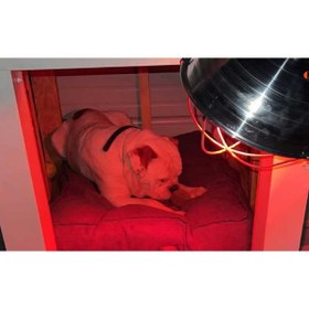 Resim İnfrared ISITICI AMPUL LAMBA KIRMIZI 250 WATT / 2 ADET 