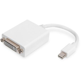 Resim Assmann Mini Displayport (DP) Dvı-ı Adaptörü, Kablolu, Mini Dp Erkek - Dvı-ı (24 5) Dişi, 0.15 Metre, Dp 1. 