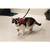 Resim Beeztees Kedi Göğüs Tasması, Comfort, Zili Ve Gezdirme Kayışı, 22-24.5cm Boyun, 30-39cm Göğüs 