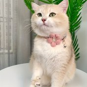 Resim 1 adet Çiçek Desenli Sevimli Evcil Hayvan Aksesuarı, Ayrılabilir Çan Çiçeği Kolye, Küçük Köpekler ve Kediler için Yumuşak Ayarlanabilir Polyester Yaka 