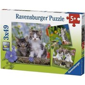 Resim Ravensburger 3x49 Parça Puzzle Tiger Babies 080465 