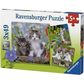 Resim Ravensburger 3x49 Parça Puzzle Tiger Babies 080465 