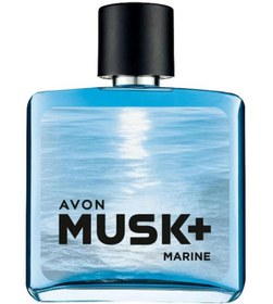 Resim Avon Musk + Marine Erkek Parfüm EDT 75 ml 