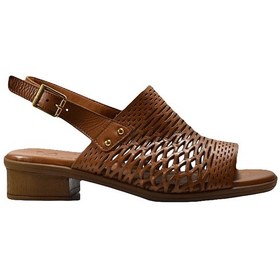 Resim Beety 6001 Hakiki Deri Kahverengi Anatomik Kadın Sandalet Siyah 