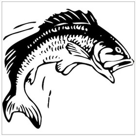 Resim Balık Folyo Sticker 50cm Uzunluk Siyah 