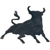 Resim Space Krom Boğa Logo / Yacı40 (546180004) 