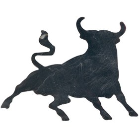 Resim Space Krom Boğa Logo / Yacı40 (546180004) 