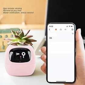 Resim Akıllı saksı Flowerpot İnteraktif Sevimli Akıllı Jest Dikim Için, Yükseltilmiş Bahçe Kitleri (Pembe İngilizce versiyonu) 