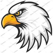 Resim Kara Kartal Beşiktaş 1903 Şahin Sticker 00958 