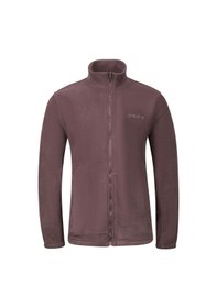 Resim 2as Saka Tam Fermuarlu Erkek Polar Sweatshirt Mürdüm 001 