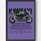 Resim KAWASAKI NINJA 300 