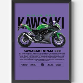 Resim KAWASAKI NINJA 300 
